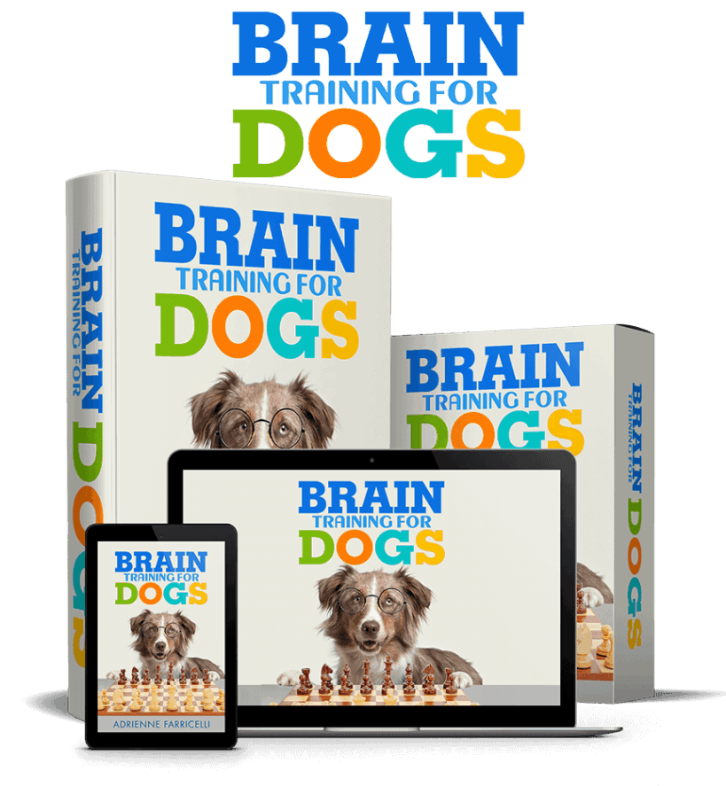 Brain Training 4 dogs Bonus 