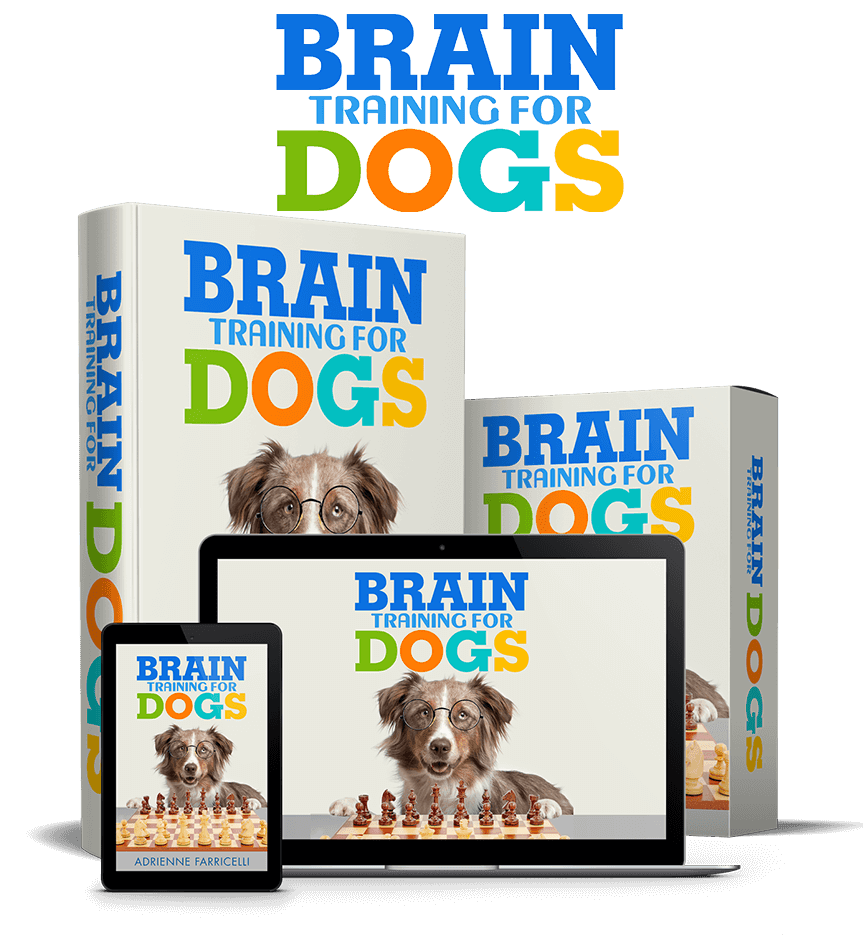 Brain Training 4 dogs