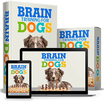 Brain Training 4 dogs - order now 